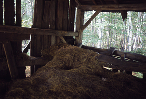 Haymow in Moon Barn in the Moon Lot / Primmer Farm.