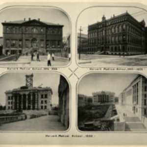 The Medical School of Harvard University, Class of 1906