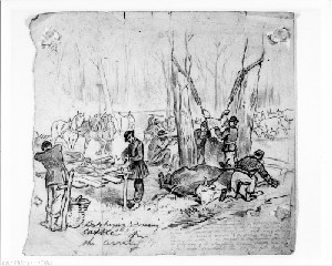 Butchering and Dressing Cattle for the Army Camp, Bacon Creek, Hart County, Kentucky