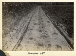North Adams to Boston, station no. 142, Florida