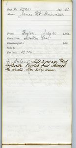 Tewksbury Almshouse Intake Record: McGuinness, James