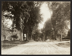 Exterior view of the Nims and Frary Houses, Deerfield Street, Deerfield, Mass., 1880s