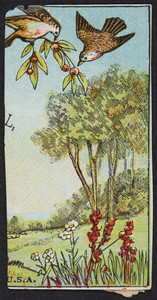 Trade card for Dr. J.C. Ayer & Co., druggists and dealers in medicines, Lowell, Mass., undated
