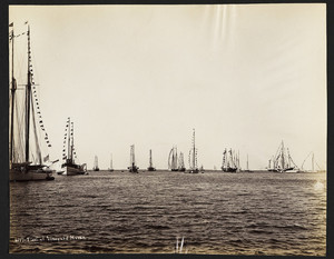 Fleet At Vineyard Haven