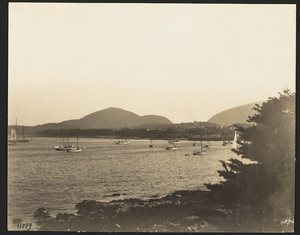 Bar Harbor