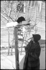 Cat perched on a post outside after a heavy snow, with icicles dangling from the roof and woman in a heavy fur coat attending