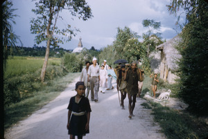 Villagers walking down the road, Stūpa in background