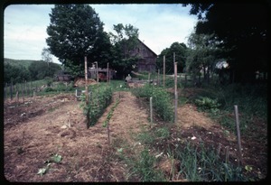 View over the garden, Montague Farm Commune