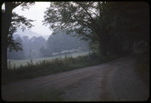 Misty road near Montague Farm Commune