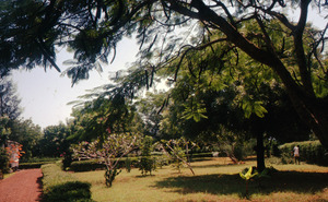Garden at the home of W. E. B. and Shirley Graham Du Bois in Accra, Ghana