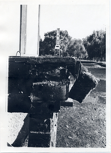 Detail of damaged wooden beam in Boston Public Garden