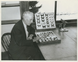 Charles P. Alexander with butterfly specimens