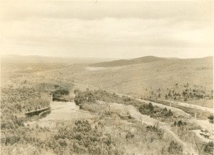 Forestry and Wildlife Management - Mt. Toby Forest