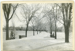 M.A.C. Avenue in snow