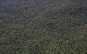 Aerial oblique view west on Cruise Line 10 on 28 May 1972 in the Hopkins Forest.