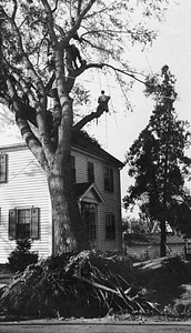 Hurricane damage, 29 Lafayette Street, September 21, 1938