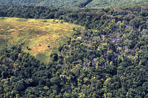 Aerial color image of the north end of Jim Smith Hill. False Color Infrared/True Color Project.