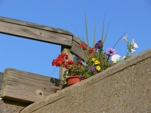 Flowers in pots perched on the edge of a wooden deck