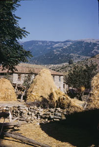 Skocivir home and stone wall