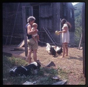 Nina Keller feeding chickens in their coop, with mother and baby Eben Light, Montague Farm Commune