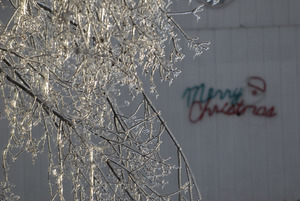 Ice covered tree in front of a barn spray painted 'Merry Christmas'