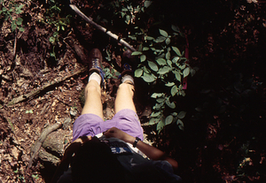 Impacts of 15 July 1995 storm in grid cell 0115. 6. Horizontal image of Tim Billo, Williams Class of 1997 laying on his back next to the sugar maple that was tipped over by the storm event.