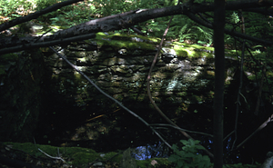 Well cistern to supply water to Sheriff Royal's house on Northwest Hill Road. View to west.