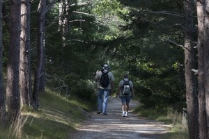 Two people walking down a trail through the woods, Wellfleet Bay Wildlife Sanctuary