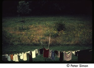Laundry on a line, with fields, Tree Frog Farm commune