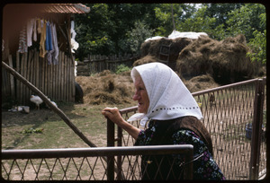 Rajčić grandmother