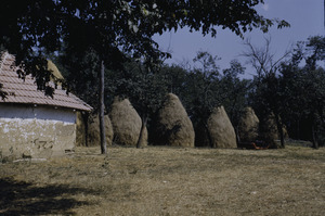 Haystacks in Jarmenovci
