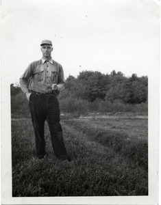 Duxbury Cranberry Company: Kenneth G. Garside in work clothes, standing on a bog with his pipe