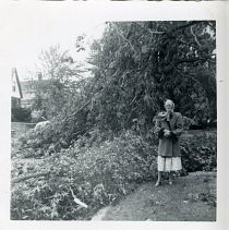 Hurricane Carol damage