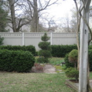 Front Yard