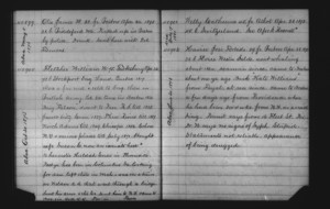 Tewksbury Almshouse Intake Record: Havier, Jose Fortado