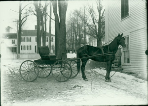 Horse and cart, Shrewsbury, Mass., undated