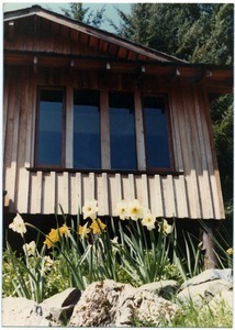 Salmon Creek house, exterior view of den with daffodils