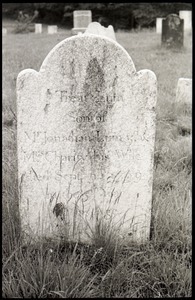 Gravestone of Treat Lum (1799), Great Hill Cemetery