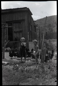 Sequoya Frey, Eben Light, and chickens, Montague Farm commune