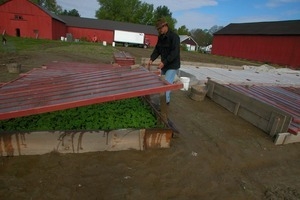 Lazy Acres Farm (Zuchowski Farm): Allan Zuchowski tending to cold frames