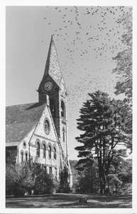 Old Chapel and 1878 Class Tree with flock of birds flying above