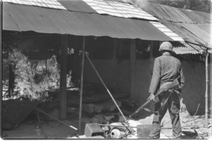 U.S. troops searching the terrain for Vietcong tunnels and cave, destroying Vietcong rice supplies; Hau Nghia.