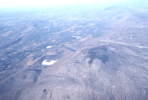 Oblique aerial photos accompanying 22 Dec 1994 Col-East air photo mission. 21. Boreal forest on top of The Dome, Pownal, VT