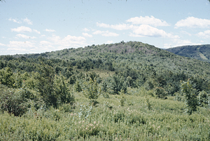 White Rocks from Jim Smith Hill.