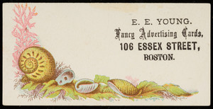Trade card for E.E. Young, fancy advertising cards, 106 Essex Street, Boston, Mass., undated