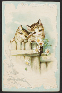 Trade card for California Breakfast Food, location unknown, undated