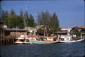 Fishing boats on Krabi shoreline