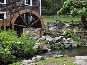 Seagull standing on a rock near the waterwheel, overlooking the raceway at the Stony Brook Grist Mill and Museum