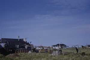 Eskimo houses