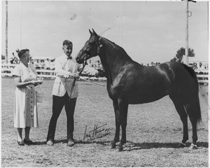 Unidentified woman and Richard Nelson standing outside with a horse